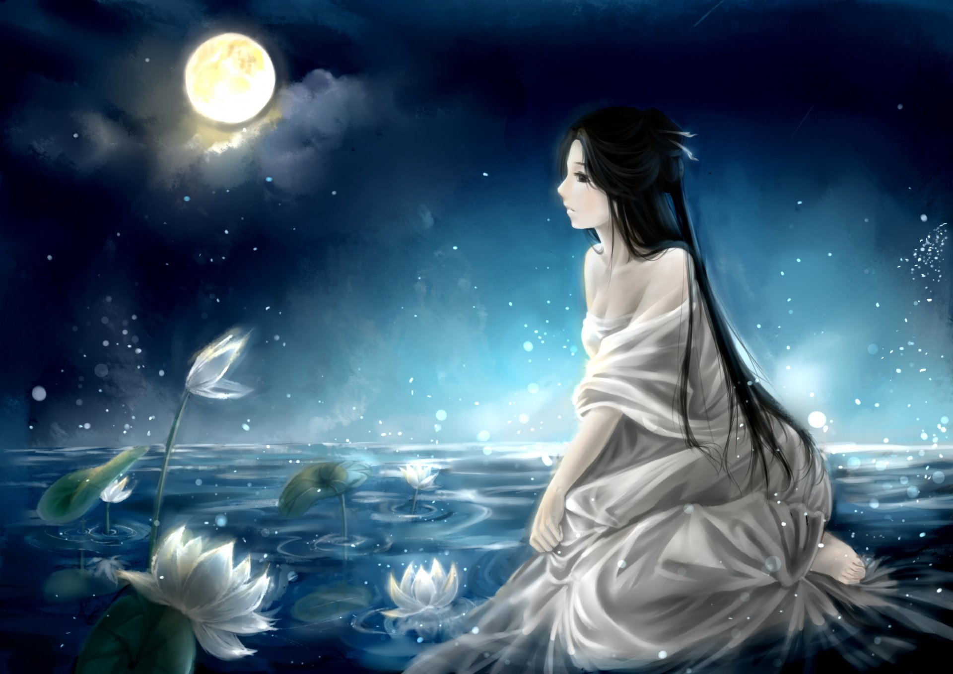 art clouble fille nuit lune nénuphars lac ciel nuages anime