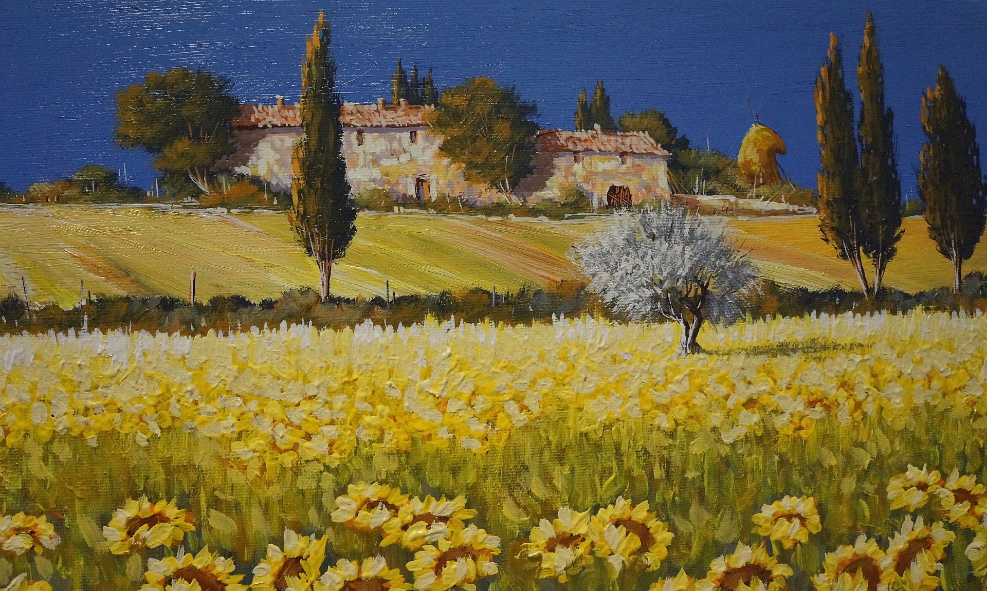 pittura paesaggio italia toscana casa cielo alberi campo fiori girasole