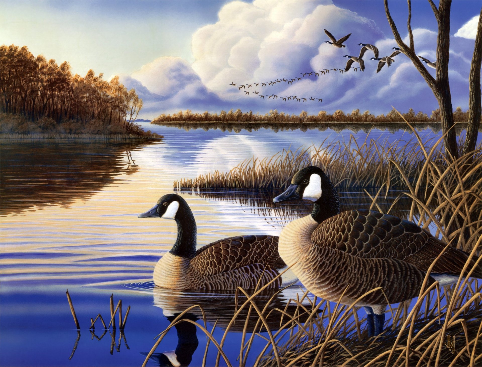 jeff hoff noche de descanso pintura gansos río lago remanso tranquilo aves perennes bandada de patos patos noche otoño