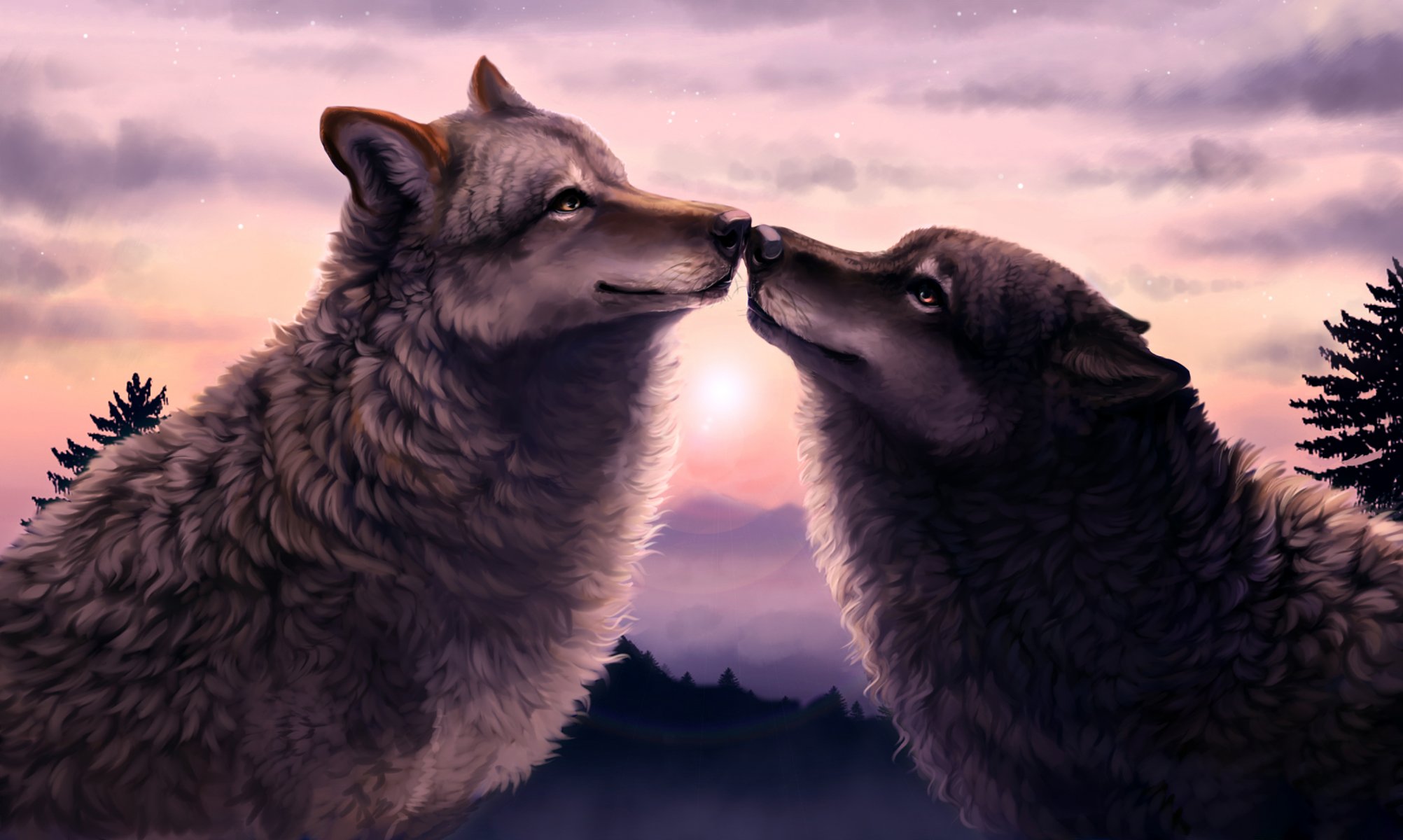 loups deux coucher de soleil forêt