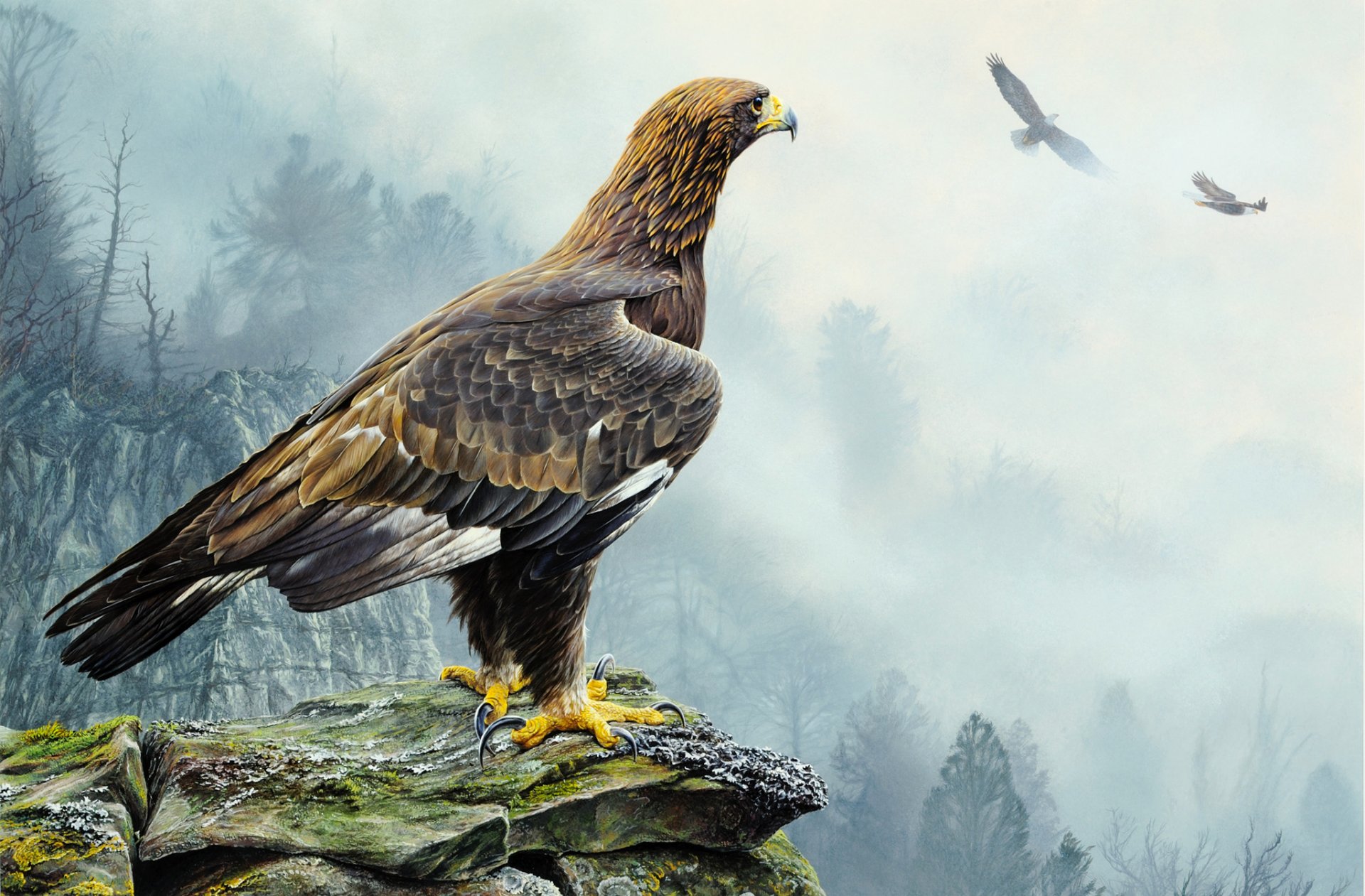 alan m. hunt aigle d or peinture oiseau aigle vol roches arbres brouillard nature paysage