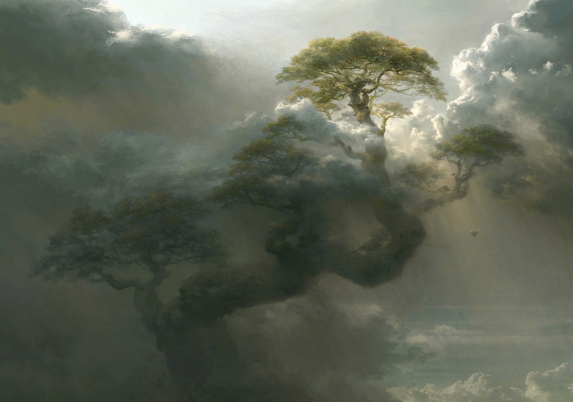 art tree huge height cloud