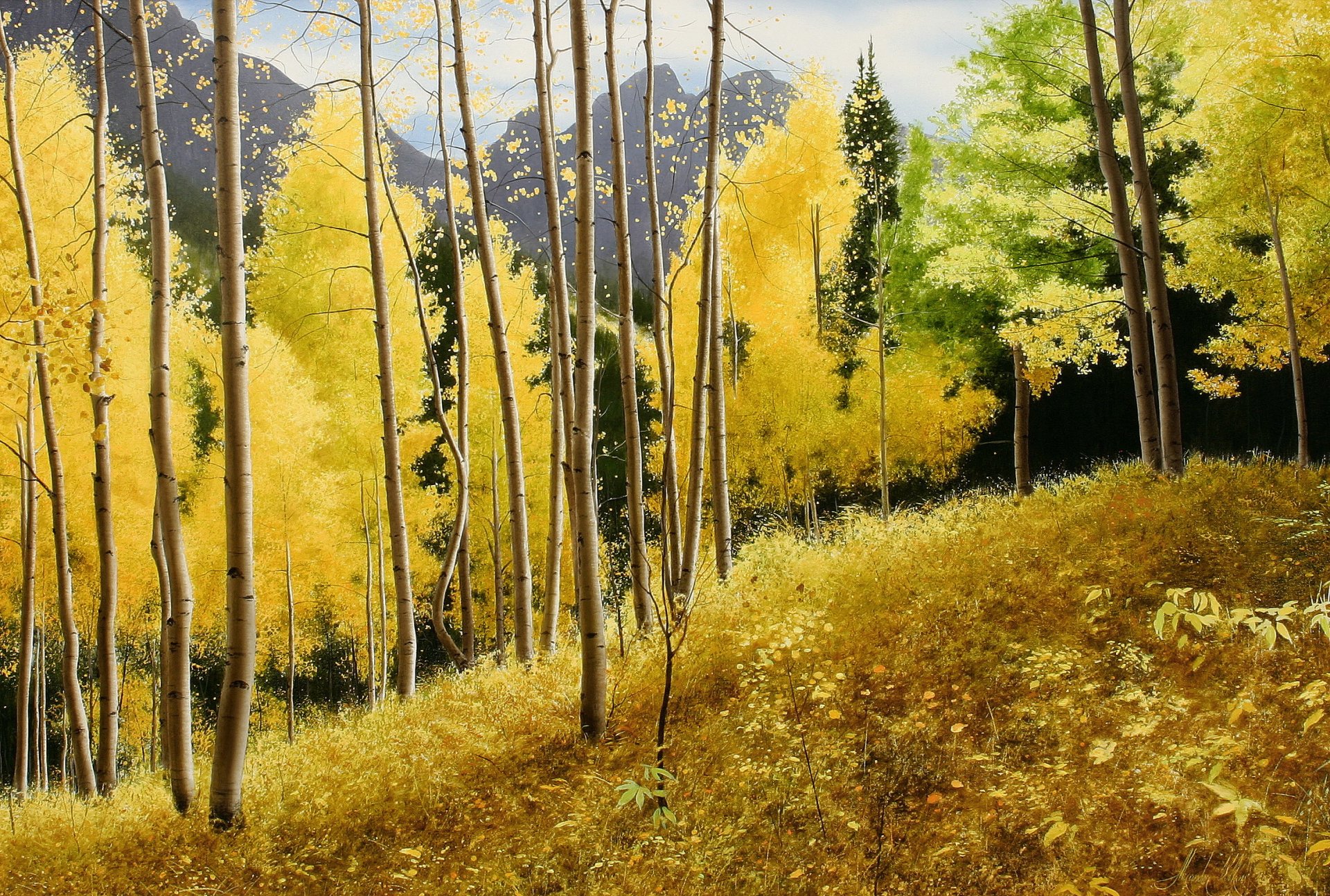 autumn september pattern mountain quiet aspen