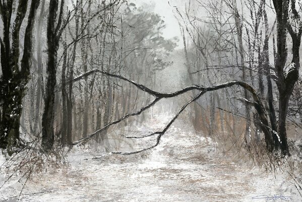 Pittura invernale della foresta triste