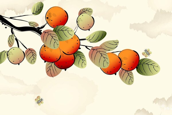 Branche dessinée avec des fruits et des feuilles