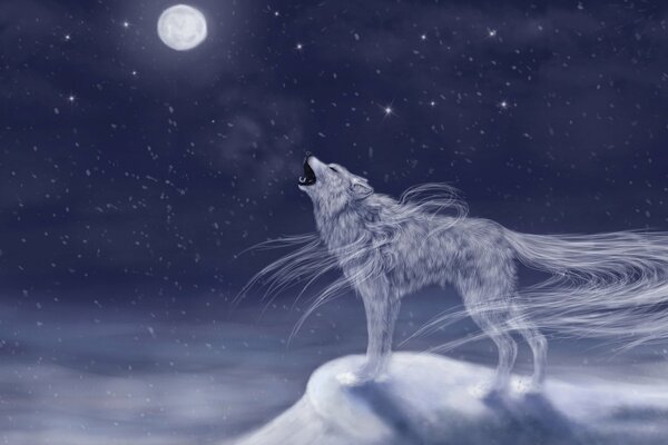 A wolf howling at the moon on a cold night