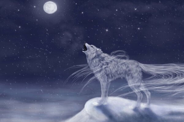 Hurlant sur la lune loup nuit froide