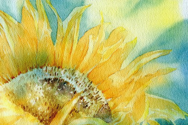 Oil painting canvas sunflower