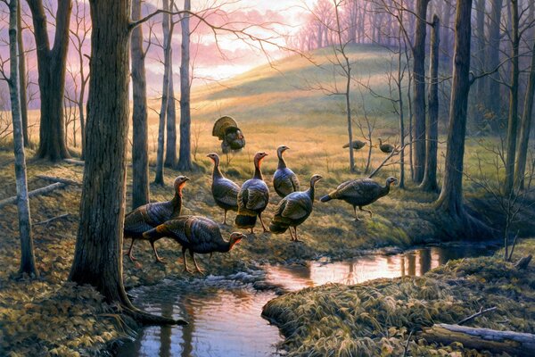 Greg Alexander s painting turkeys in the woods near a stream