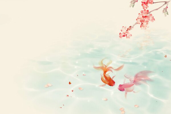 Goldfish in the water under the sakura branch