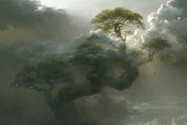 Arbre géant laissant ses branches dans les nuages