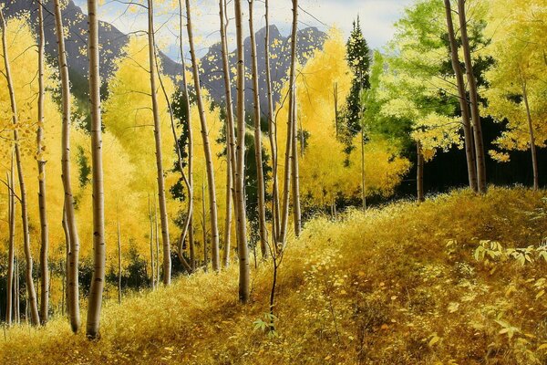Autumn forest landscape with yellow leaves