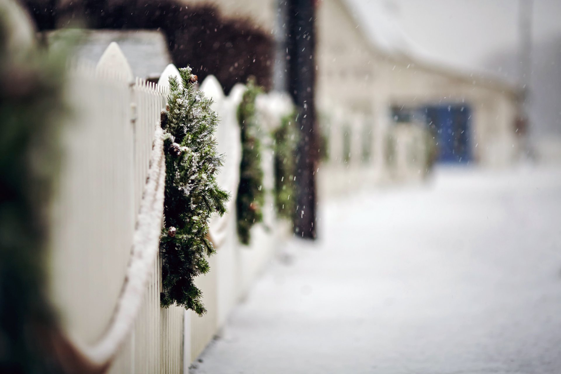 zaun zaun kränze zweige fichte straße schnee schneeflocken winter