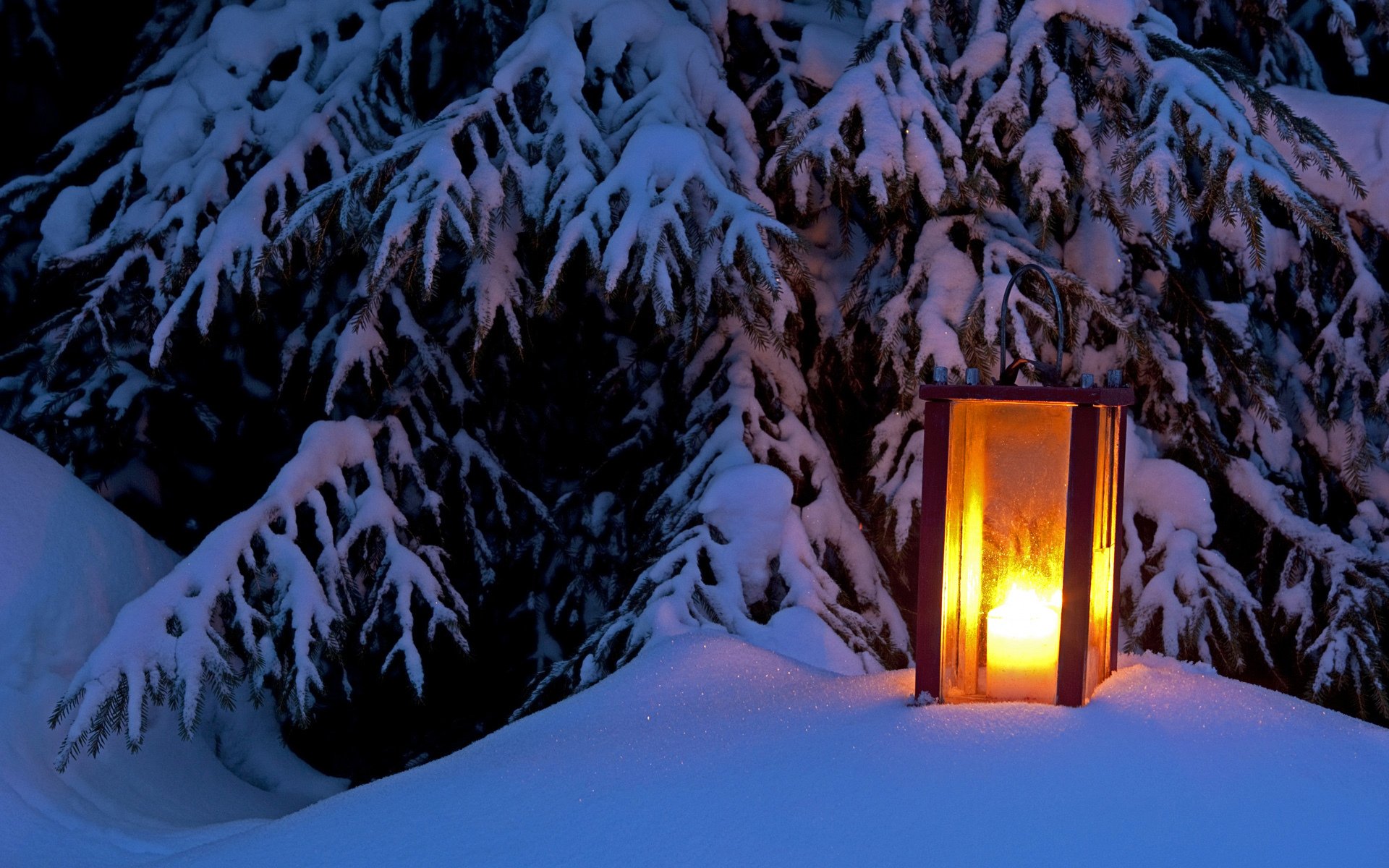 lantern snow tree winter light winter spruce