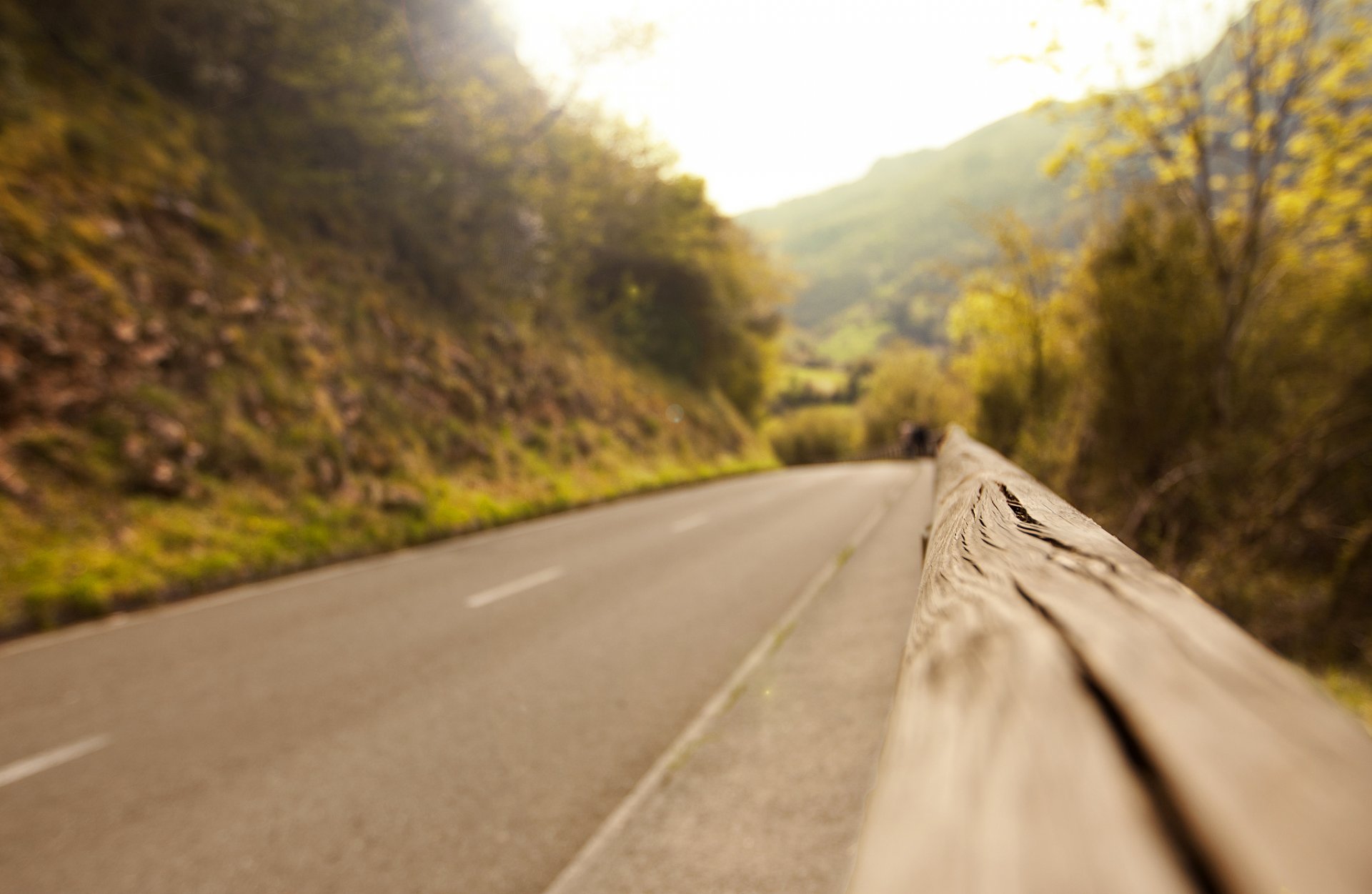 road asphalt fence fence tree trees blur nature autumn