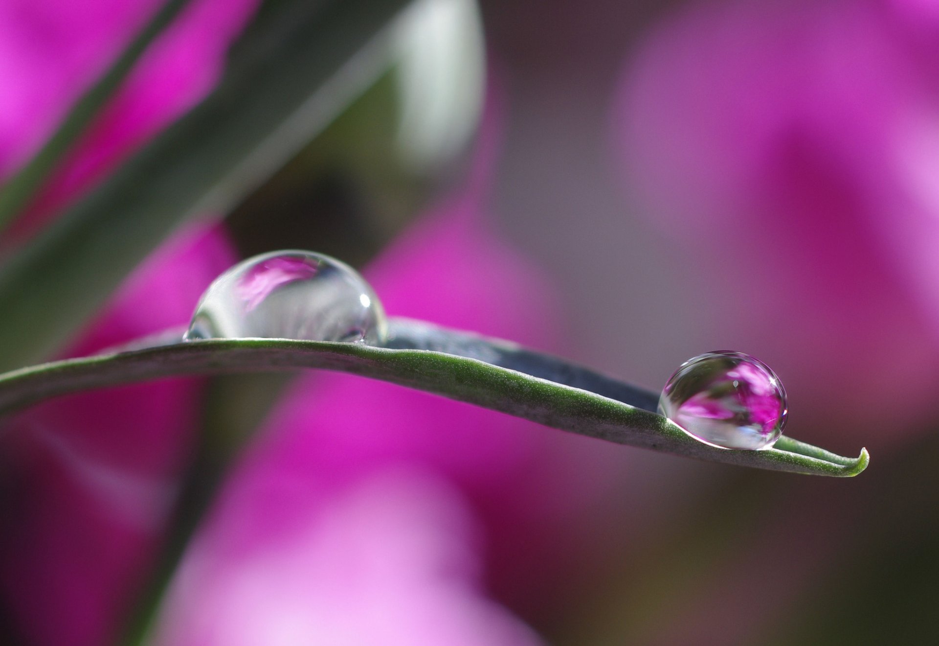 heet drops water reflection bokeh close up