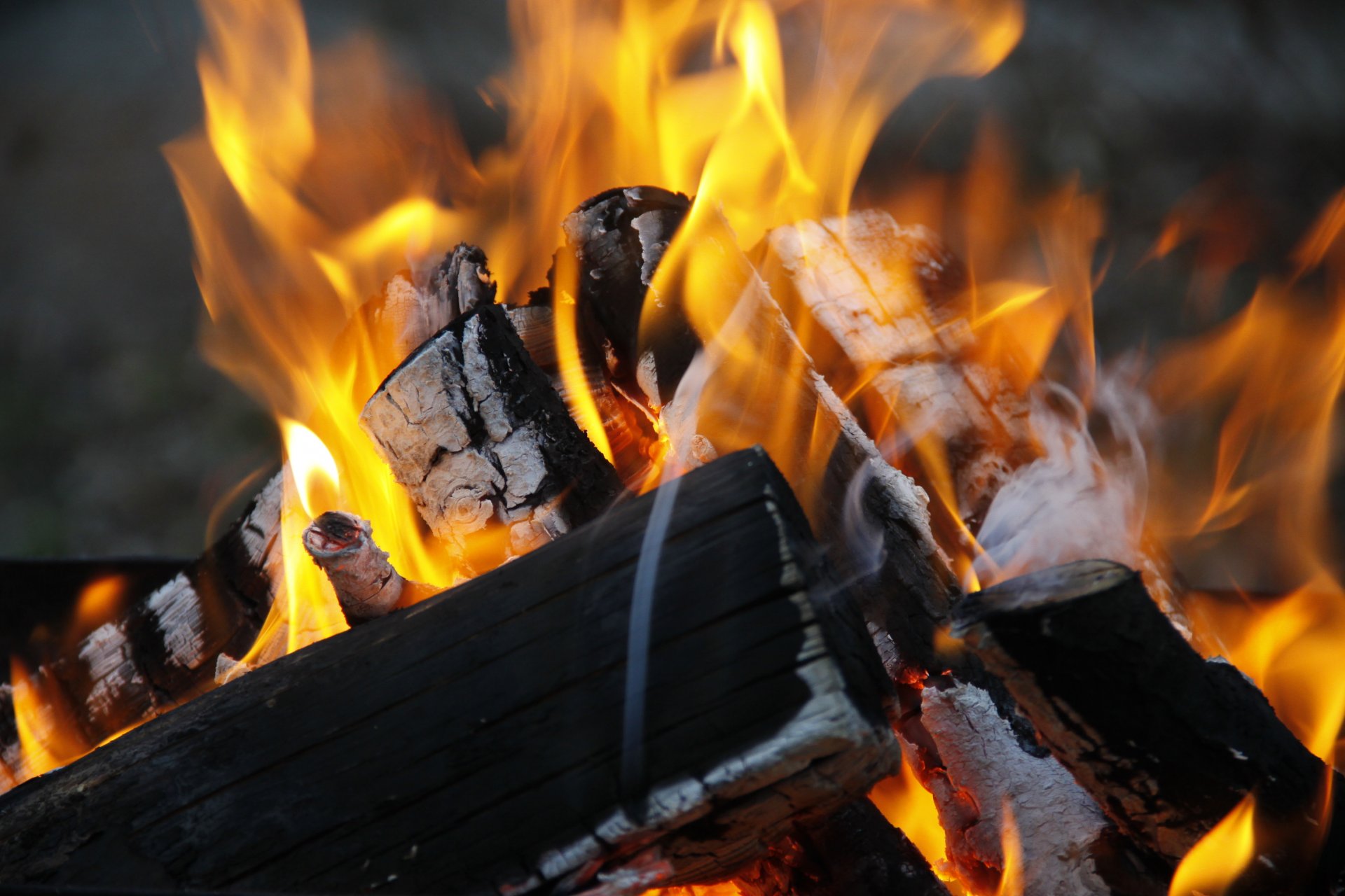 fond fond d écran divers feu de joie feu nature la gorenje bois bois de chauffage