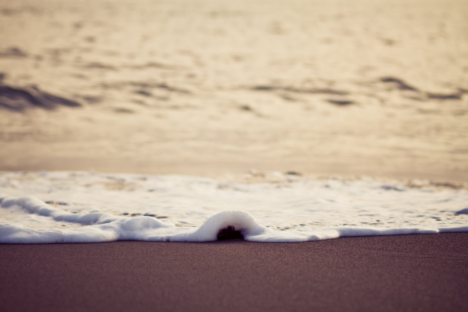 makro nass meer strand schaum