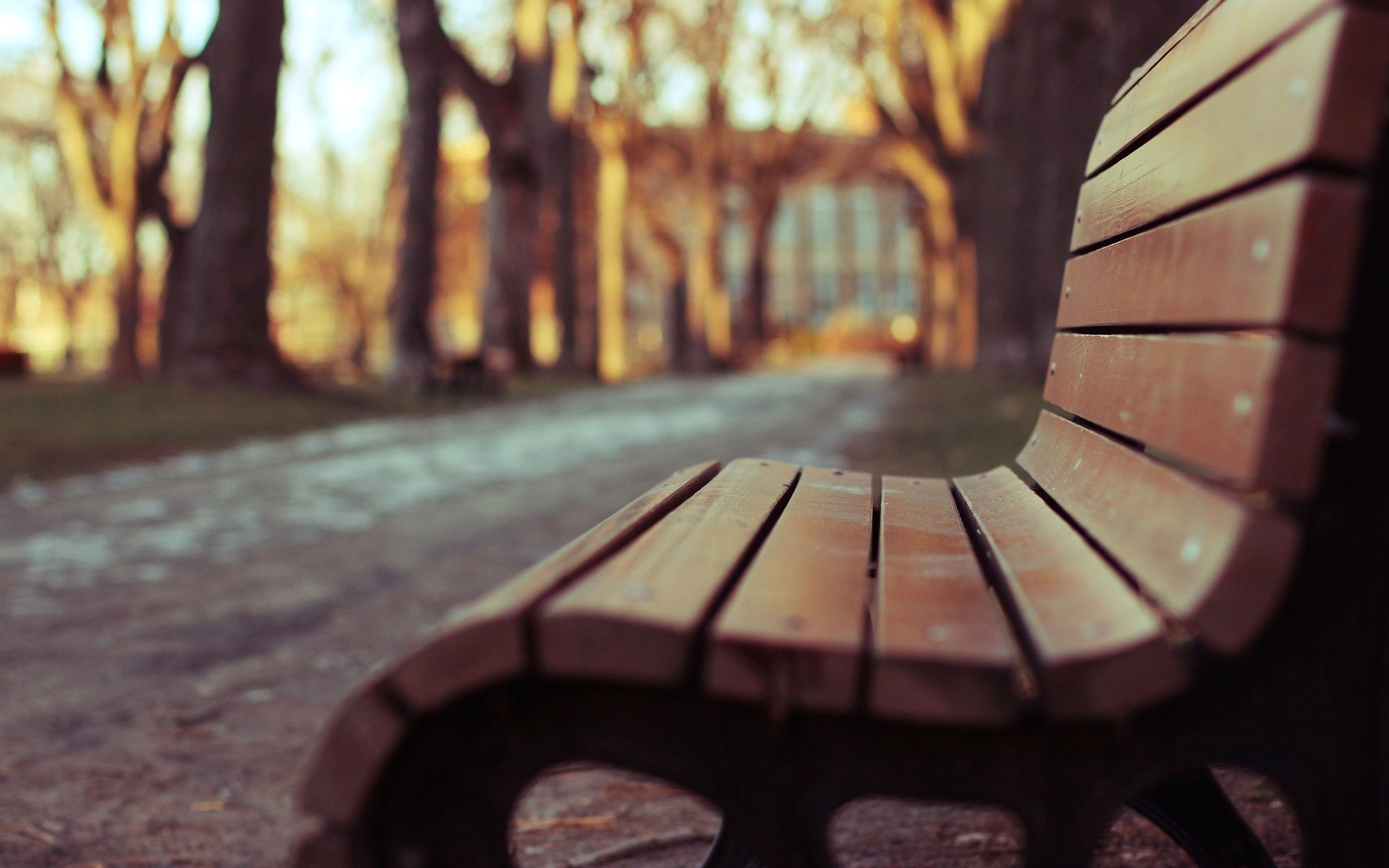 macro bench bench bench bench blur park square trees background macro wallpaper widescreen fullscreen widescreen