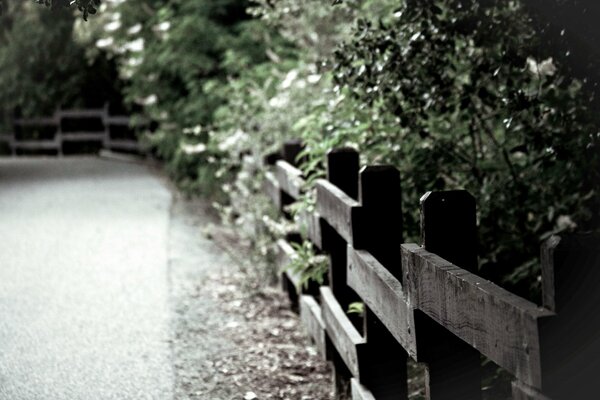 Wooden fence on the background of shrubs