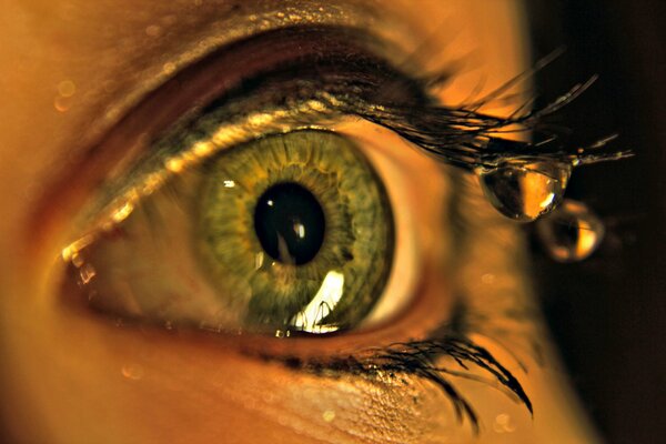 Macro photo of an eye with a drop of water on the eyelashes