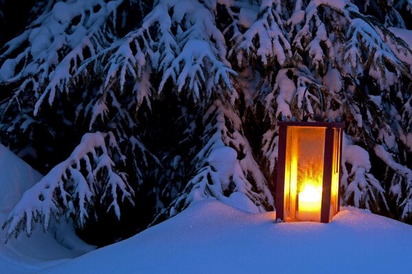 A burning old lantern in the snow under a fir tree