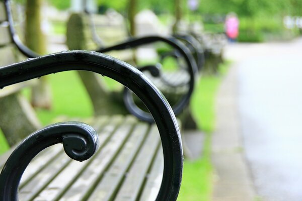 Macro benches in the park on a blurry background