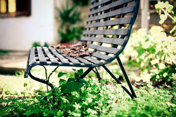 Les feuilles vertes tombent sur le banc