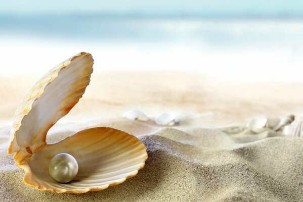 Perle in der Muschelschale am Strand des Meeres