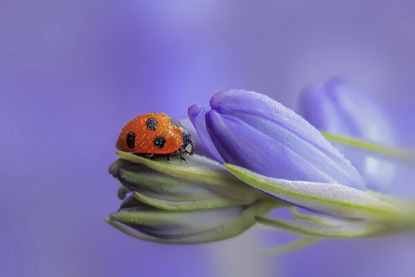 Belleza y ternura en una foto