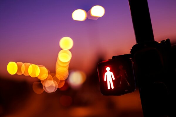 Red traffic light for pedestrians in the late evening