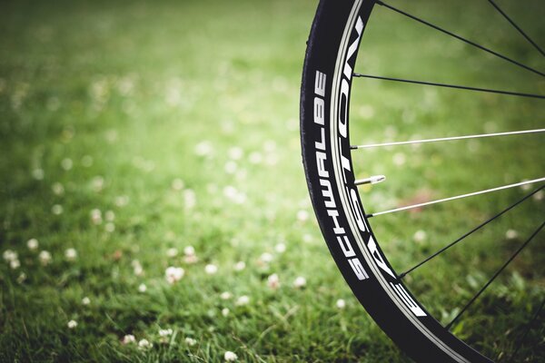 Fahrrad fährt auf grünem Gras