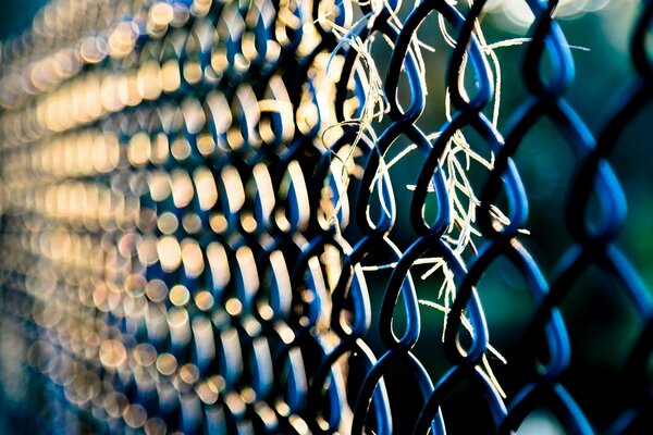 Iron mesh in macro photography