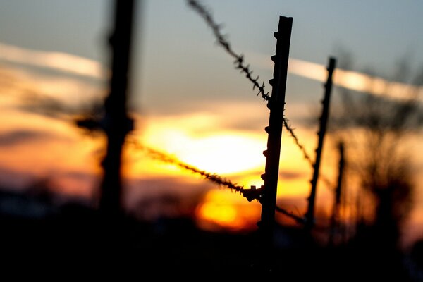 Recinzione nera nei raggi del tramonto