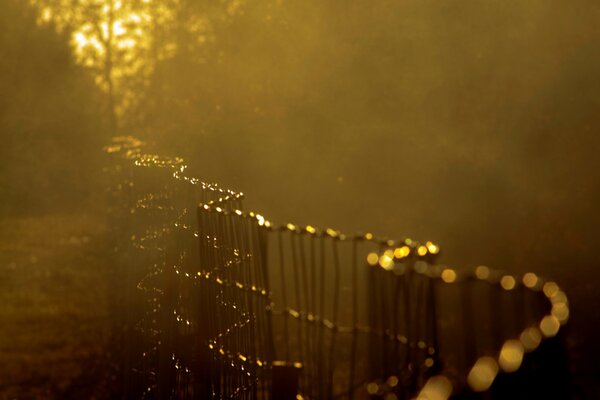 Wsporniki pole ogrodzenia nachylone niewyraźny obraz, słońce świeci