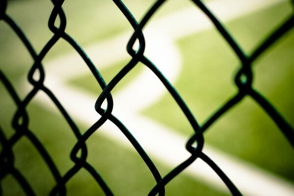 Grille en prise de vue macro. Photo en gros plan