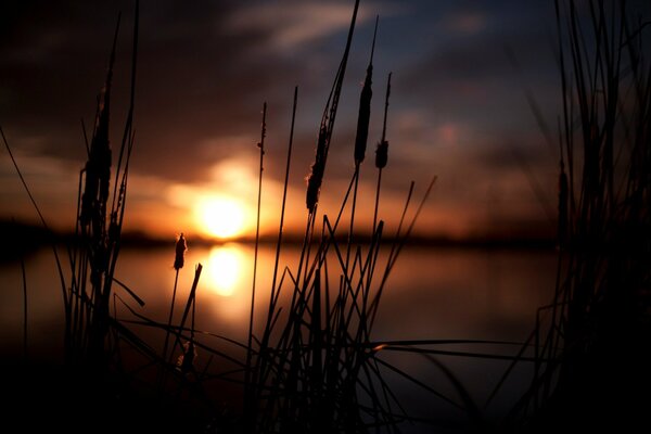 Beautiful sunset view on the background of the lake