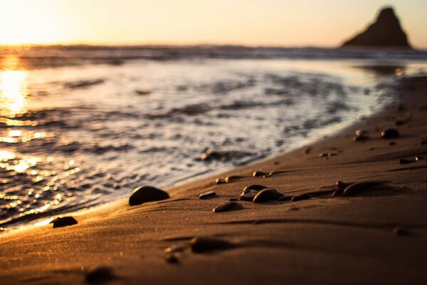 Sandy beach under the rays of the setting sun