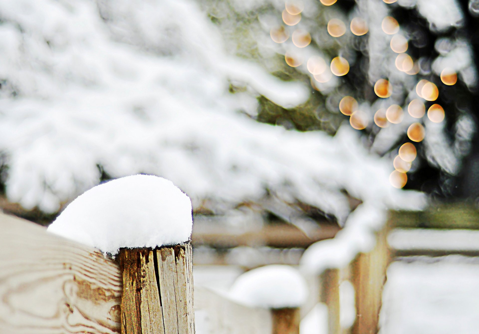 valla madera árboles ramas nieve invierno bokeh luces desenfoque