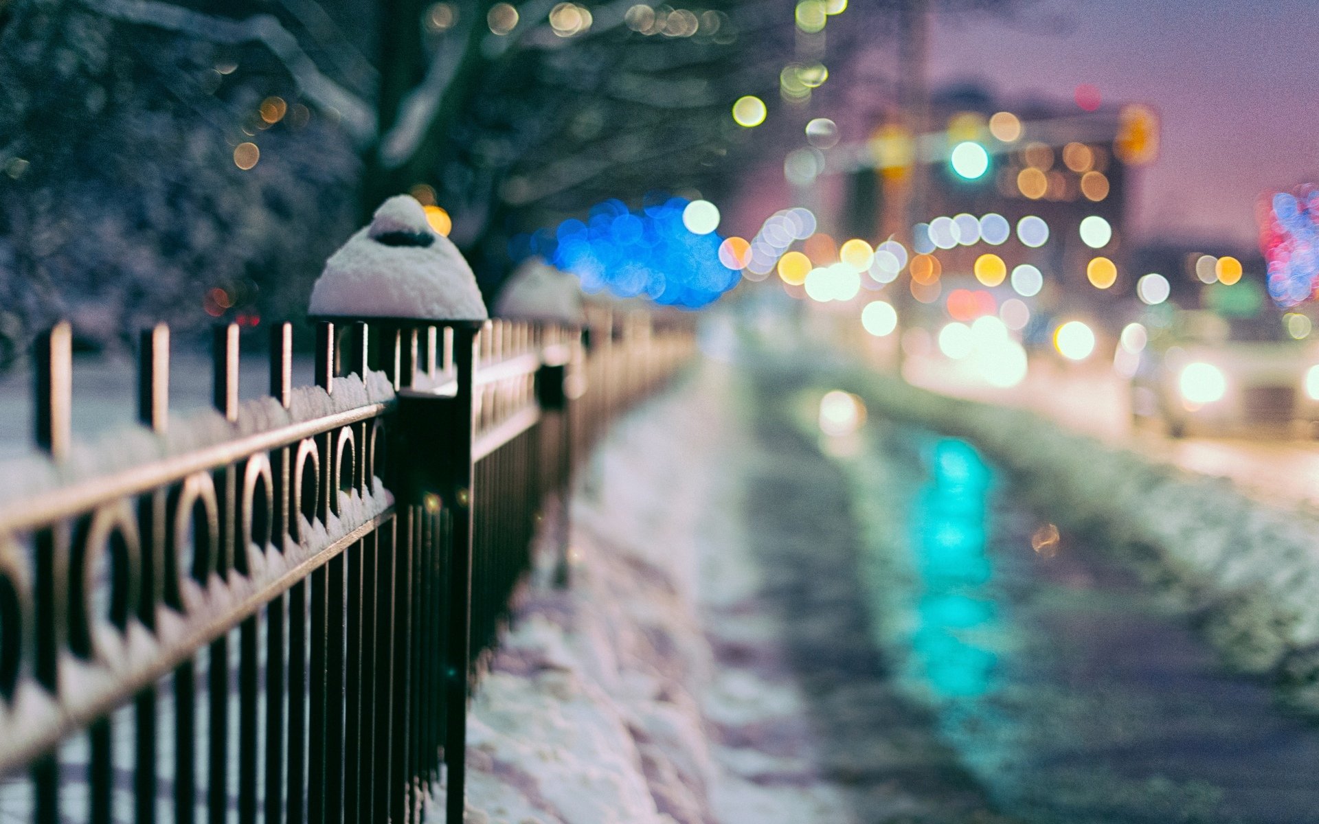 makro ogrodzenie brama ogrodzenie śnieg zima miasto światła rozmycie drzewa bokeh makro zima tło tapeta panoramiczny pełny ekran panoramiczny