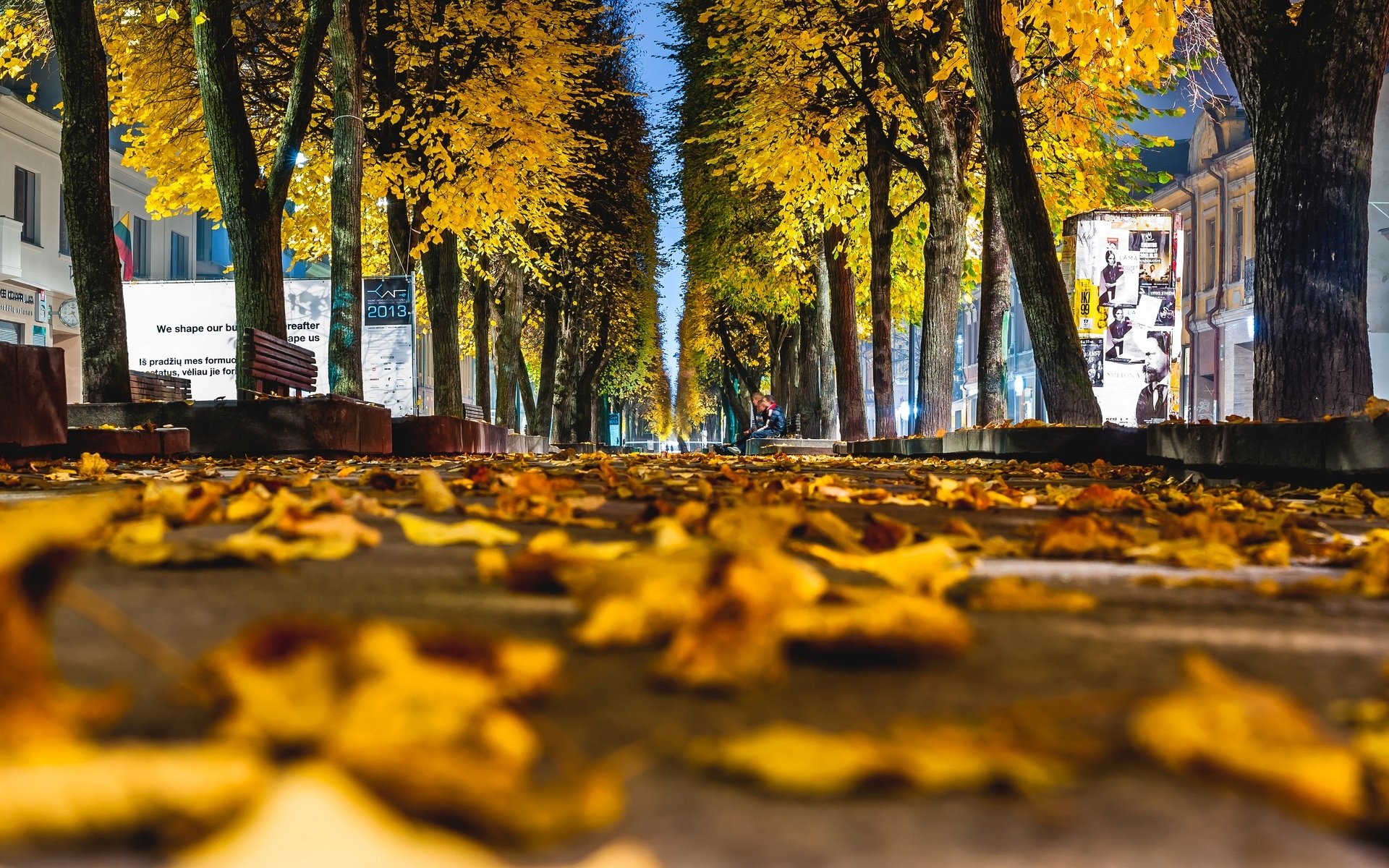 makro blätter blätter blätter gelb herbst makro baum bäume asphalt bänke bänke gehweg stadt hintergrund tapete widescreen vollbild widescreen widescreen