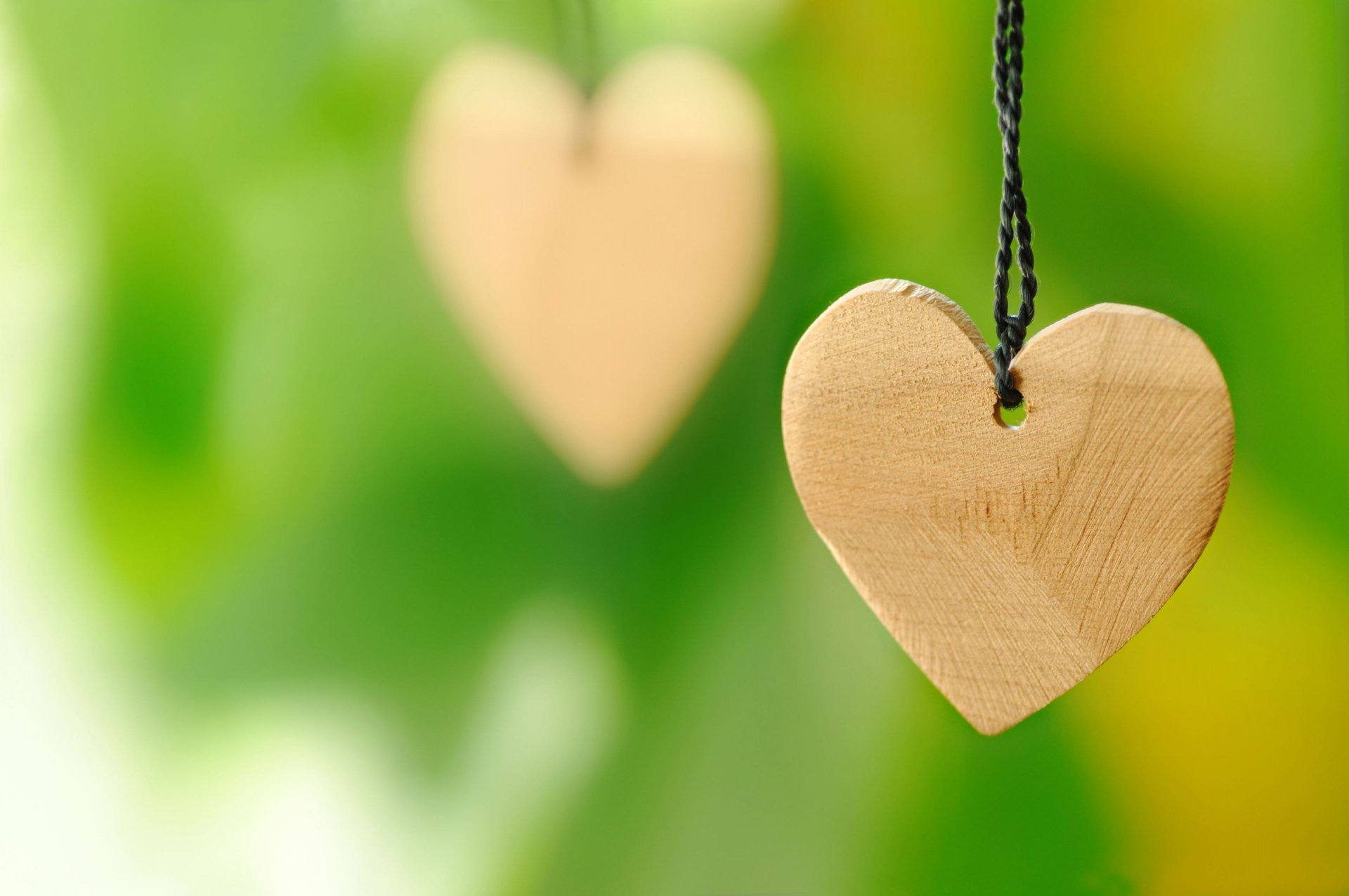 macro cuore cuore legno verde sfondo sfocatura widescreen schermo intero carta da parati