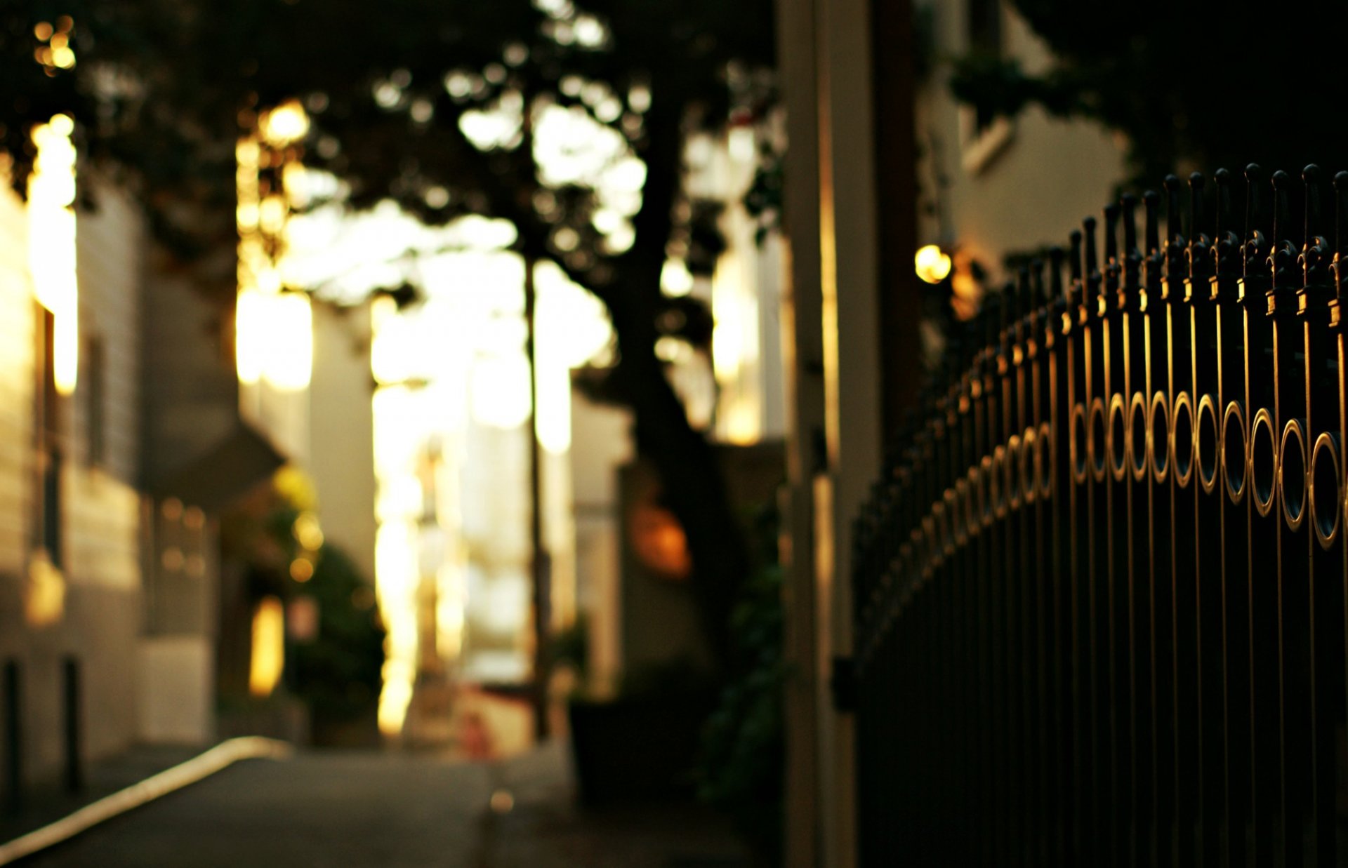 clôture barres fer porte clôture route arbres soirée rue macro flou bokeh