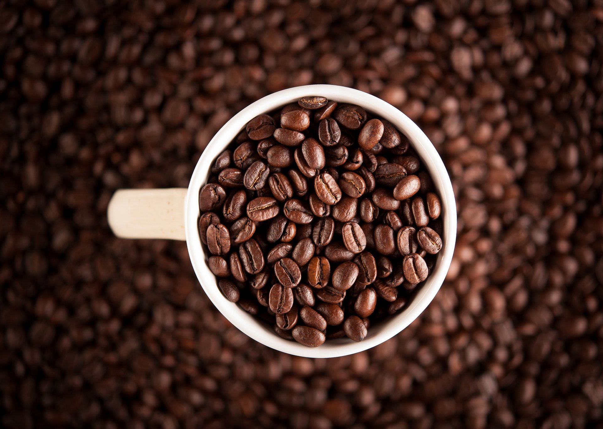 grain coffee cup white close up focus blur