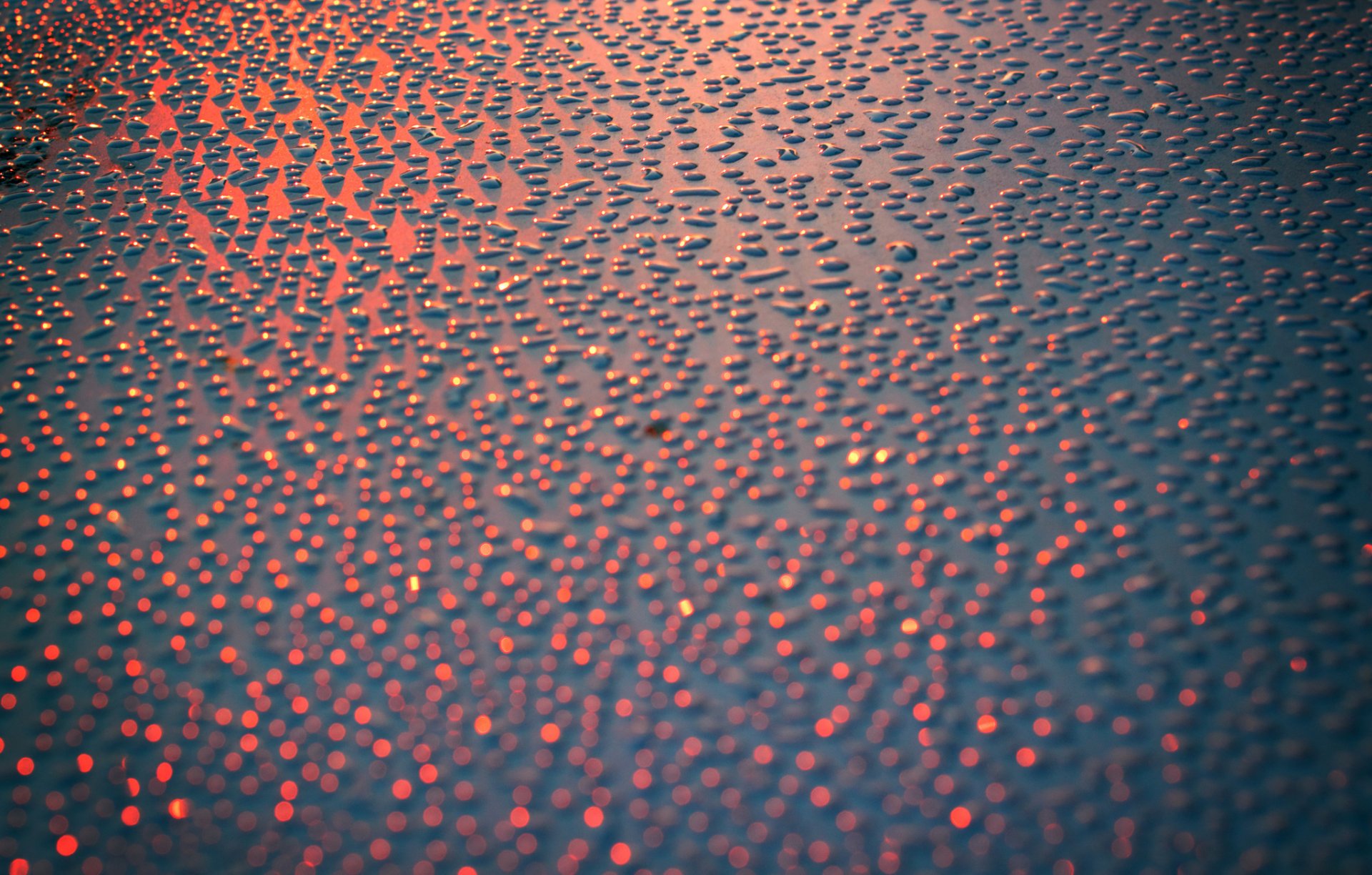 close up grey background drops red light bokeh marm o. set photography