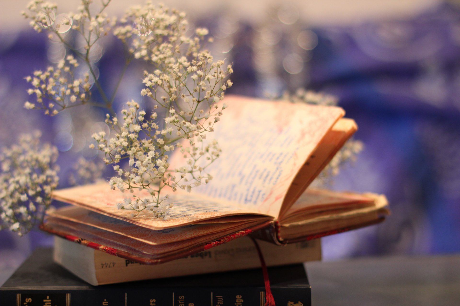 bücher blumen hintergrund