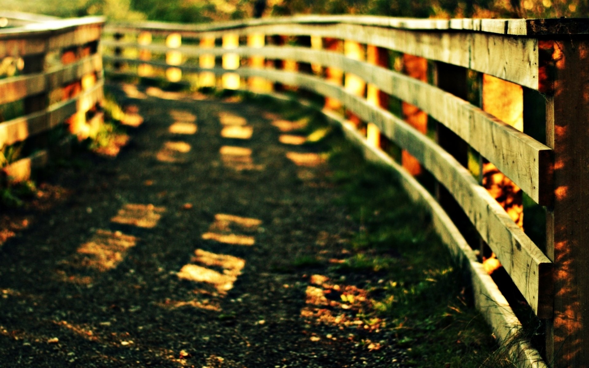 macro fence gate fence grass greenery vegetation path path sun macro plants paths wallpaper widescreen fullscreen widescreen background widescreen