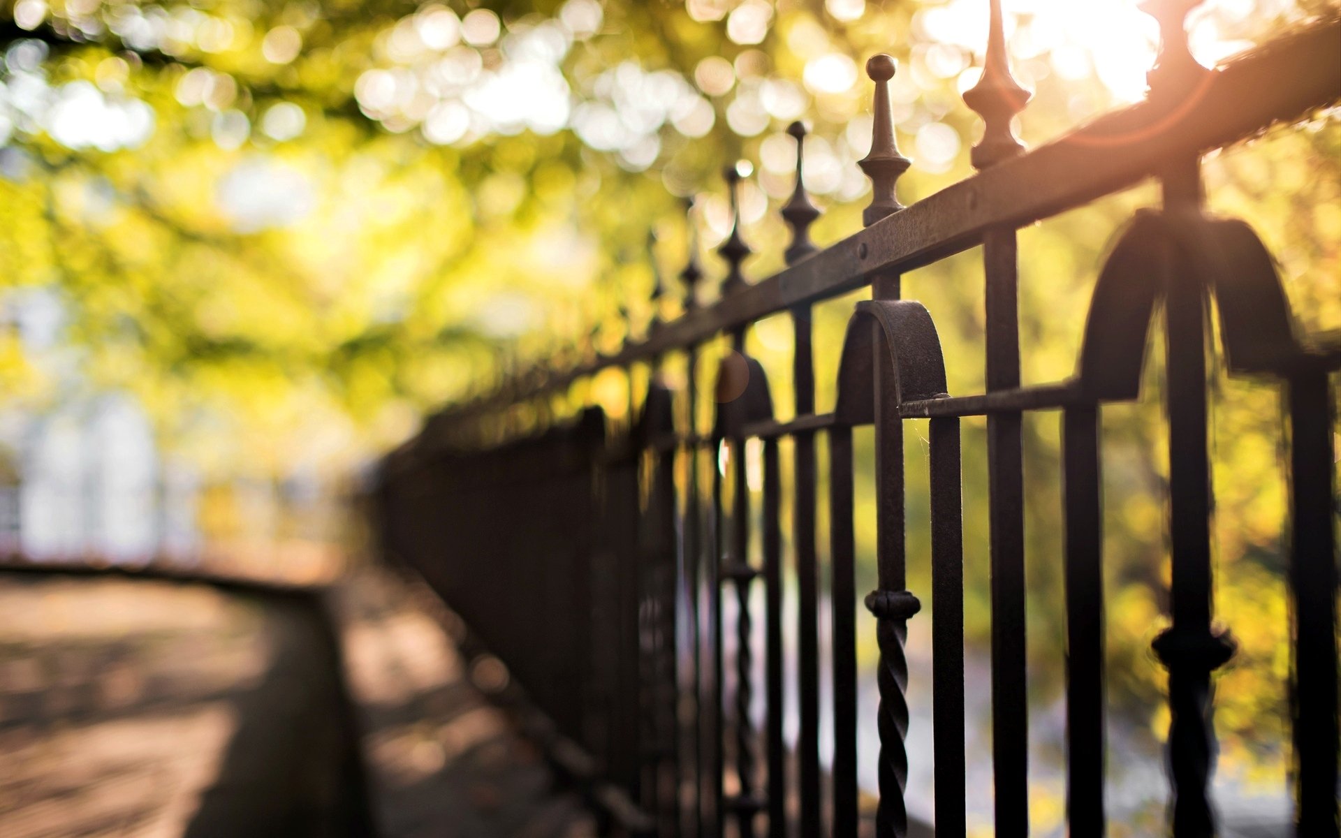 close up fence fencing blur bokeh background tree wallpaper widescreen full screen hd wallpapers macro