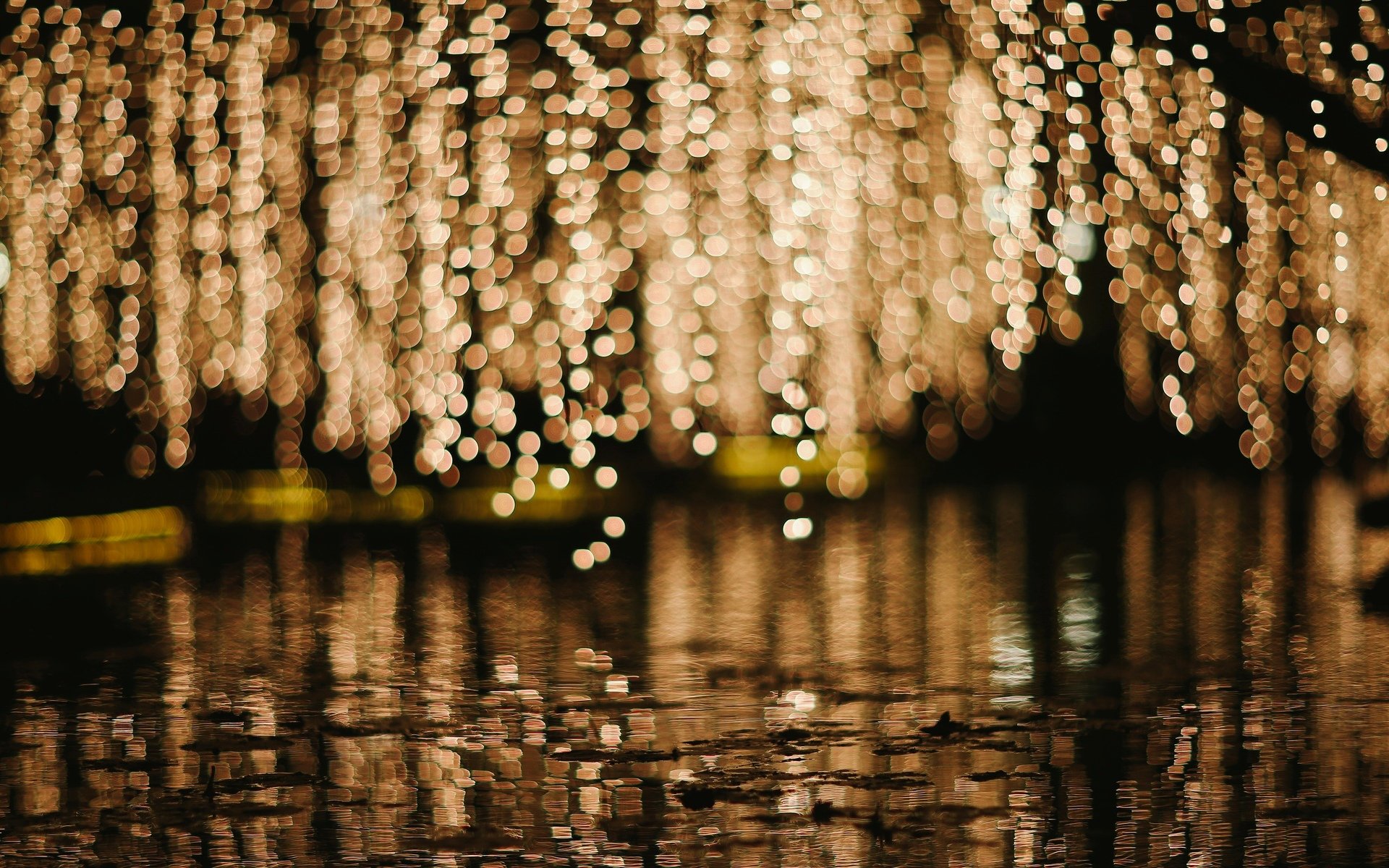 makro lichter unschärfe bokeh wasser pfütze regen mann hintergrund makro tapete widescreen vollbild widescreen