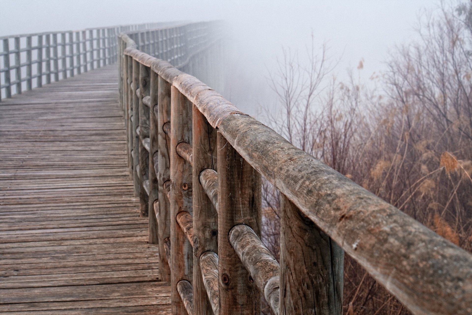 geländer brücke nebel makro